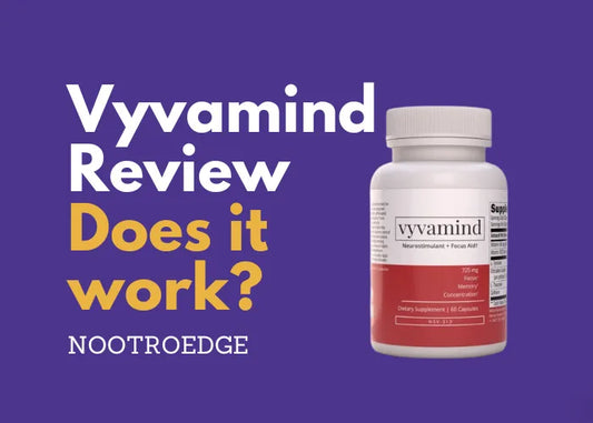 Vyvamind Review: Does it work?